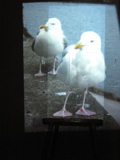 anamorphic_art_01_000300